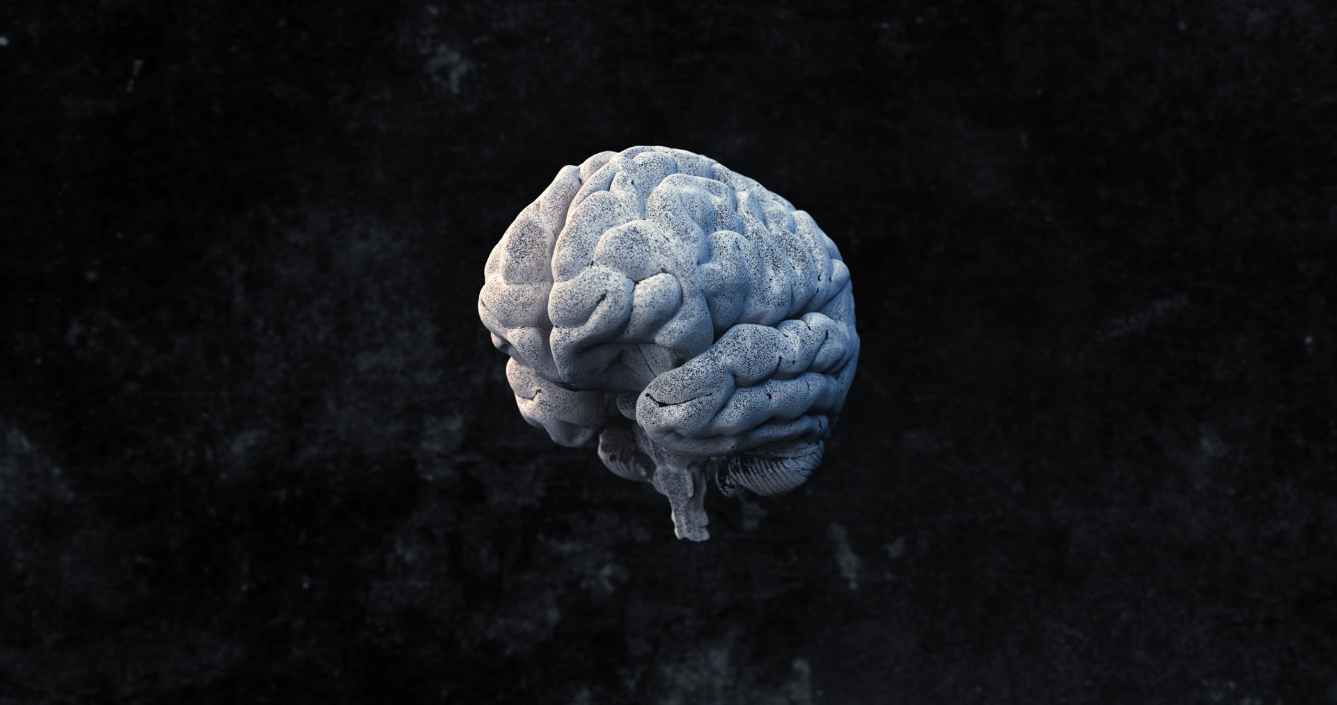 Machine Learning Là Gì? Toàn Bộ Thông Tin về Machine Learning